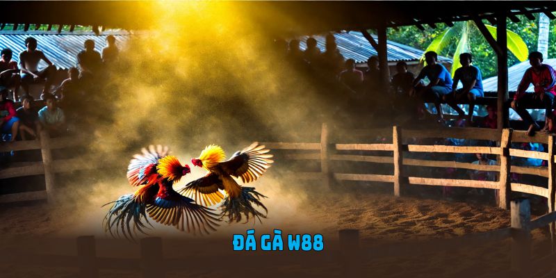 Đá Gà W88 - Sân Chơi Cá Cược Đình Đám Trong Năm 2025