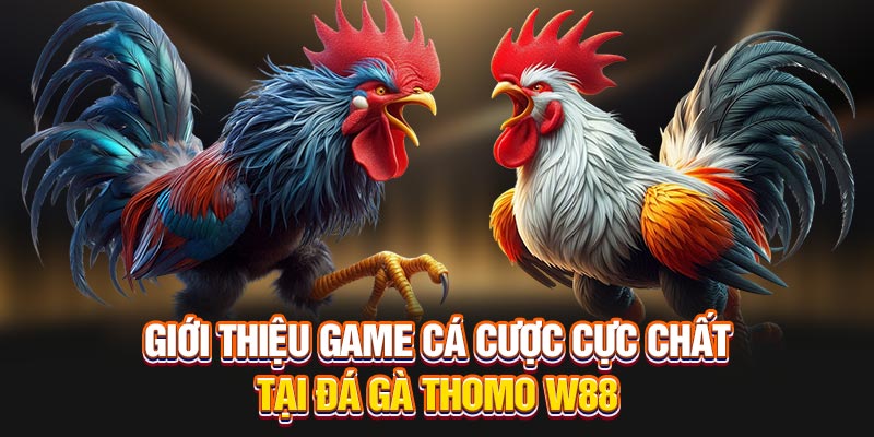 Giới thiệu game cá cược cực chất tại đá gà thomo W88