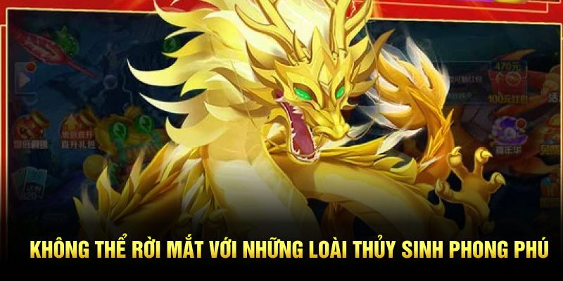 Không thể rời mắt với những loài thủy sinh phong phú
