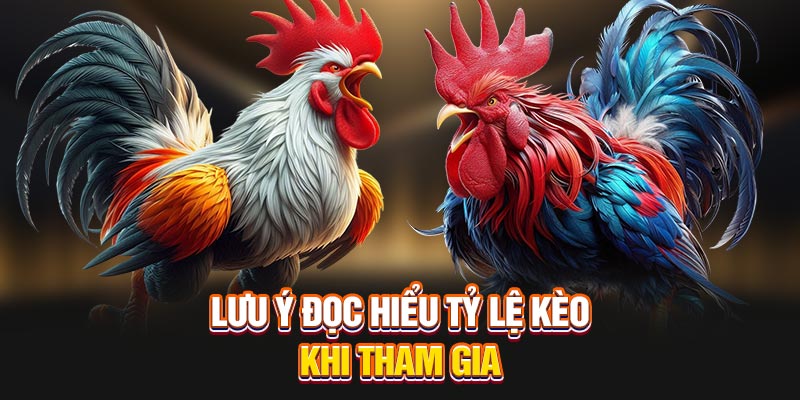 Lưu ý đọc hiểu tỷ lệ kèo khi tham gia