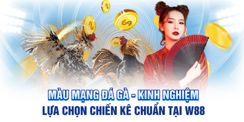 Màu Mạng Đá Gà - Kinh Nghiệm Lựa Chọn Chiến Kê Chuẩn Tại W88