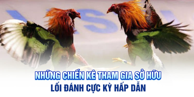 Những chiến kê tham gia sở hữu lối đánh cực kỳ hấp dẫn