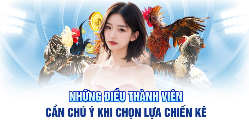 Những điều thành viên cần chú ý khi chọn lựa chiến kê