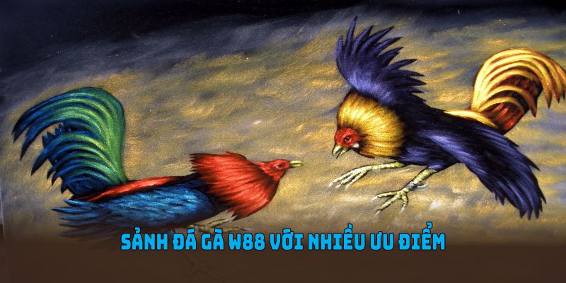 Sảnh đá gà W88 với nhiều ưu điểm nổi bật nhất
