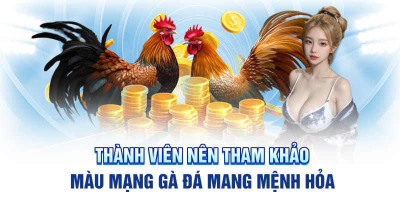 Thành viên nên tham khảo màu mạng đá gà mang mệnh Hỏa