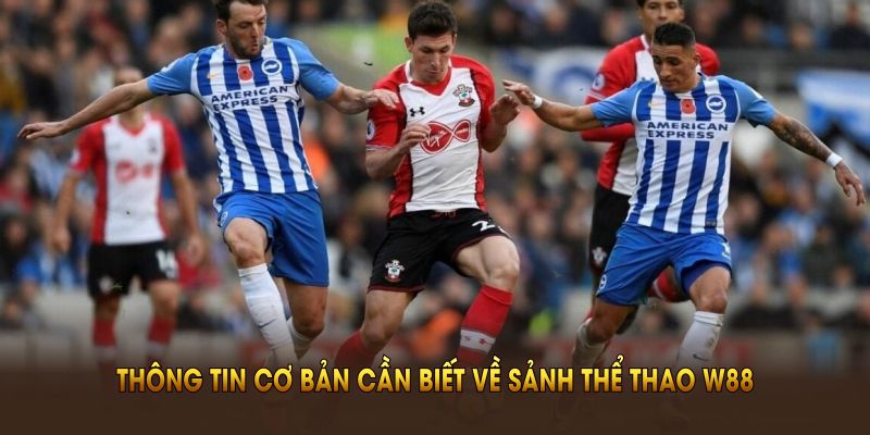 Tổng hợp những thông tin cơ bản cần biết về sảnh thể thao W88