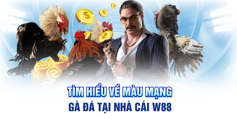 Tìm hiểu về màu mạng đá gà tại nhà cái W88