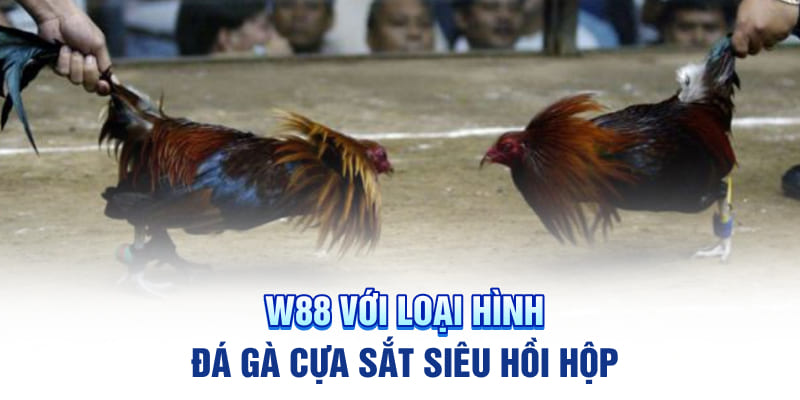 W88 với loại hình đá gà cựa sắt siêu hồi hộp